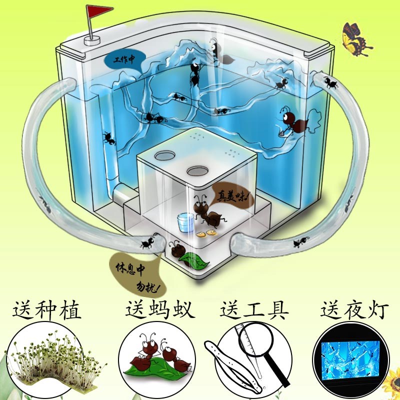 蚂蚁工坊蚂蚁家园庄园别墅城堡培养小孩观察力生态实验蚁巢送蚂蚁在类目 宠物/宠物食品及用品, 爬虫/鸣虫及其用品, 蚂蚁工坊中 - 来自Buy2taobao.com提供专业的淘宝代购服务