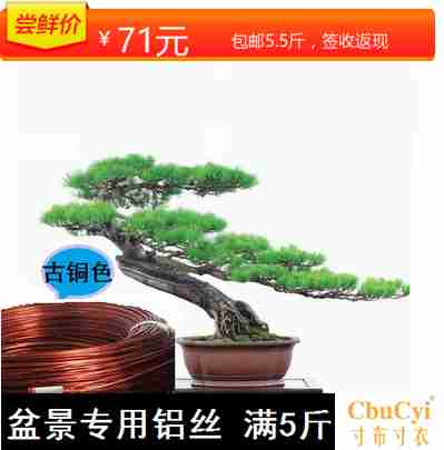 bonsai modelling tool Material Science Copper plated aluminum wire Bonsai aluminum diy Zhasi flower stand 500 gramin the Flower delivery/Flowers simulation/Plants gardening , Gardening supplies , Other Garden Supplies category - from Buy2taobao.com to provide professional Taobao agent buy service