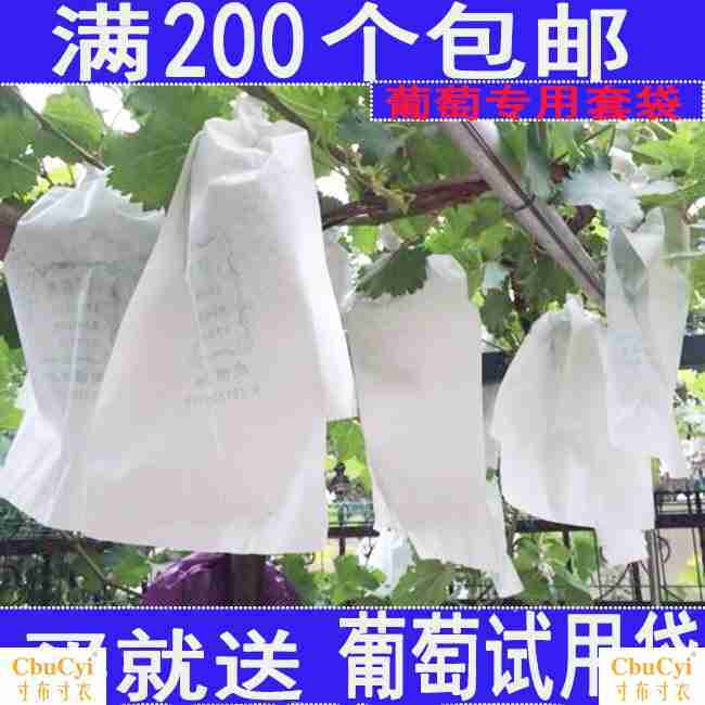 fruit Full container Bird Bagging goods in stock 10 Bagging grape Dedicated paper bagin the Flower delivery/Flowers simulation/Plants gardening , Gardening supplies , Other Garden Supplies category - from Buy2taobao.com to provide professional Taobao agent buy service