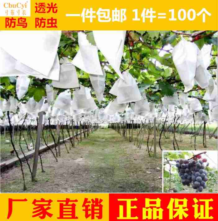防虫袋子套袋番石榴果袋苹果袋挂神器家用保护纸套外袋水果葡萄果在类目 鲜花速递/花卉仿真/绿植园艺, 园艺用品, 其它园艺用品中 - 来自Buy2taobao.com提供专业的淘宝代购服务