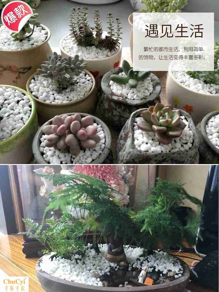 fashion Large Pebble originality three-dimensional Pebble trumpet Bottom purpose hotel indoor White Stone Simplicity Flower potin the Flower delivery/Flowers simulation/Plants gardening , Gardening supplies , Other Garden Supplies  category - from Buy2taobao.com to provide professional Taobao agent buy service