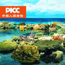 保险-PICC\/中国人保-天猫Tmall.com-尚天猫,就