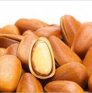 特级野生东北开口新货松子250g...