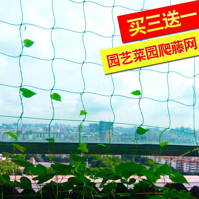 Botany Net rope Vines Flower trellis gardening Other Allspice Nylon mesh Climbing Climbing plant Rope Gridin the Flower delivery/Flowers simulation/Plants gardening , Gardening supplies , Other Garden Supplies category - from Buy2taobao.com to provide professional Taobao agent buy service