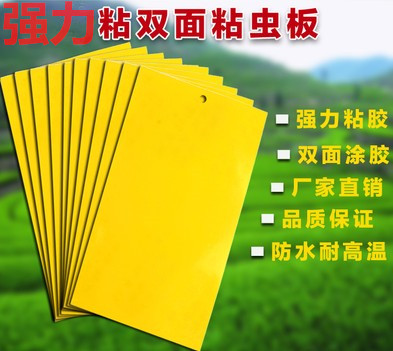 蔬菜水果粘诱虫板抗热强力双面粘蝇纸防水涂胶黄板诱虫板纸贴|ruв категории доставка цветов/цветок моделирования/растения садоводства, садовых принадлежностей, других садовых принадлежностей - от Buy2taobao.com для оказания профессиональной услуги покупки агента Taobao