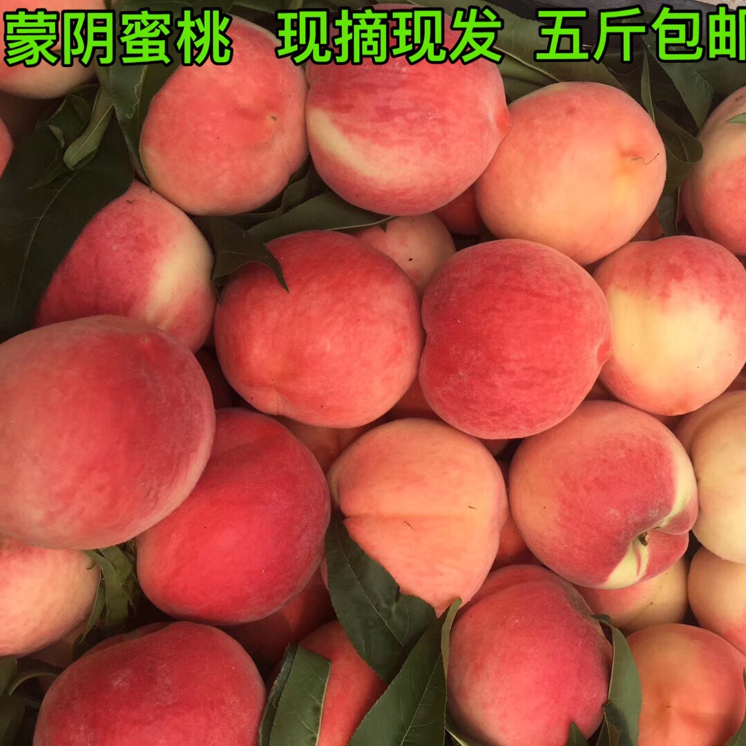 2019年新鮮水蜜桃現摘應季孕婦脆桃新鮮多汁自種毛桃5斤包郵在類目 水產肉類/新鮮蔬果/熟食, 新鮮水果, 桃中 - 來自Buy2taobao.com提供專業的淘寶代購服務