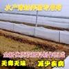 透氣防水紗網養青蛙專用網加厚40目青蛙圍網誘食台網塑料圍網蛇網 透氣防水紗網養青蛙專用網加厚40目青蛙圍網誘食台網塑料圍網蛇網