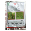 All over 10% Imidacloprid aphid Planthopper Leek insecticide All over 10% Imidacloprid aphid Planthopper Leek insecticide