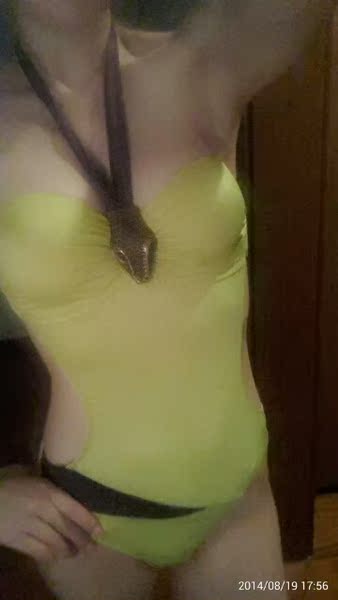 范德安 性感露背泳衣女连体三角 小胸聚拢游泳衣女是温泉大码泳装