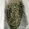提摩西干草宠物活体垂耳兔侏儒兔猫猫兔荷兰猪龙猫磨牙小麦草2斤|ms 提摩西干草宠物活体垂耳兔侏儒兔猫猫兔荷兰猪龙猫磨牙小麦草2斤|ms
