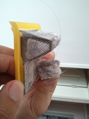 金毛皮肤病怎么治_狗狗得了螨虫皮肤病怎么办啊 ...