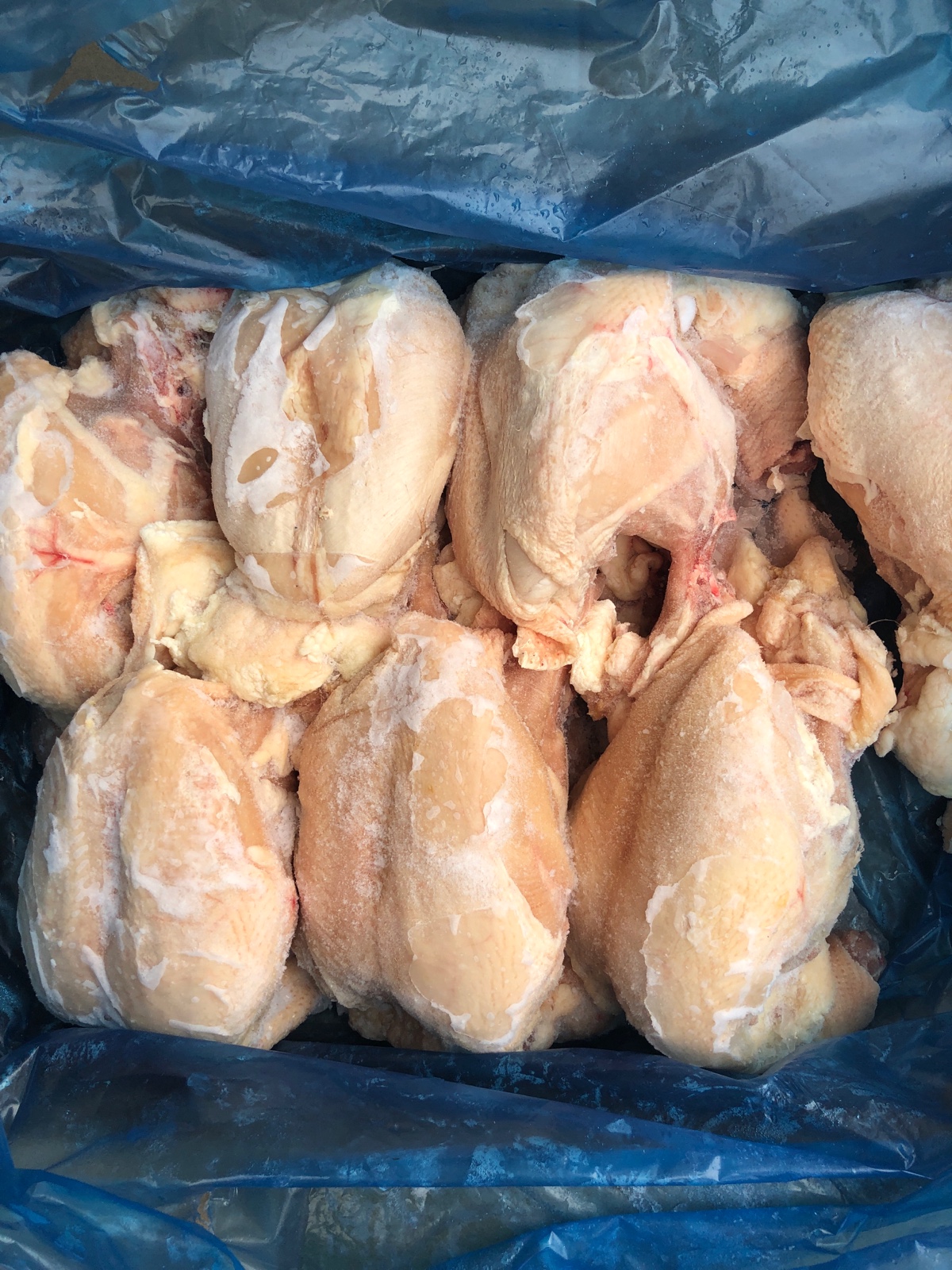 鸡架/带鸡大胸架|msdalam kategori haiwan peliharaan/makanan haiwan dan bekalan, Dog Treats - dari Buy2taobao.com untuk memberikan perkhidmatan ejen Taobao profesional membeli