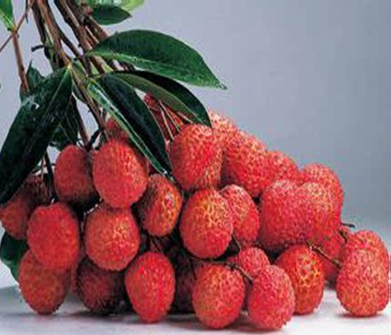 大唐贡荔<em>牛郎织女</em>之牛郎(<em>36</em>粒) – 珍品拍卖 - 