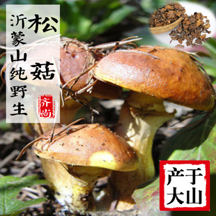 松菇东北野生蘑菇干货新鲜山珍美味松蘑干蘑菇山蛾子 特价包邮