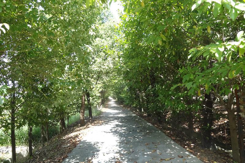 嘉兴市秀洲区人民法院项目公告 - 司法拍卖 - 淘