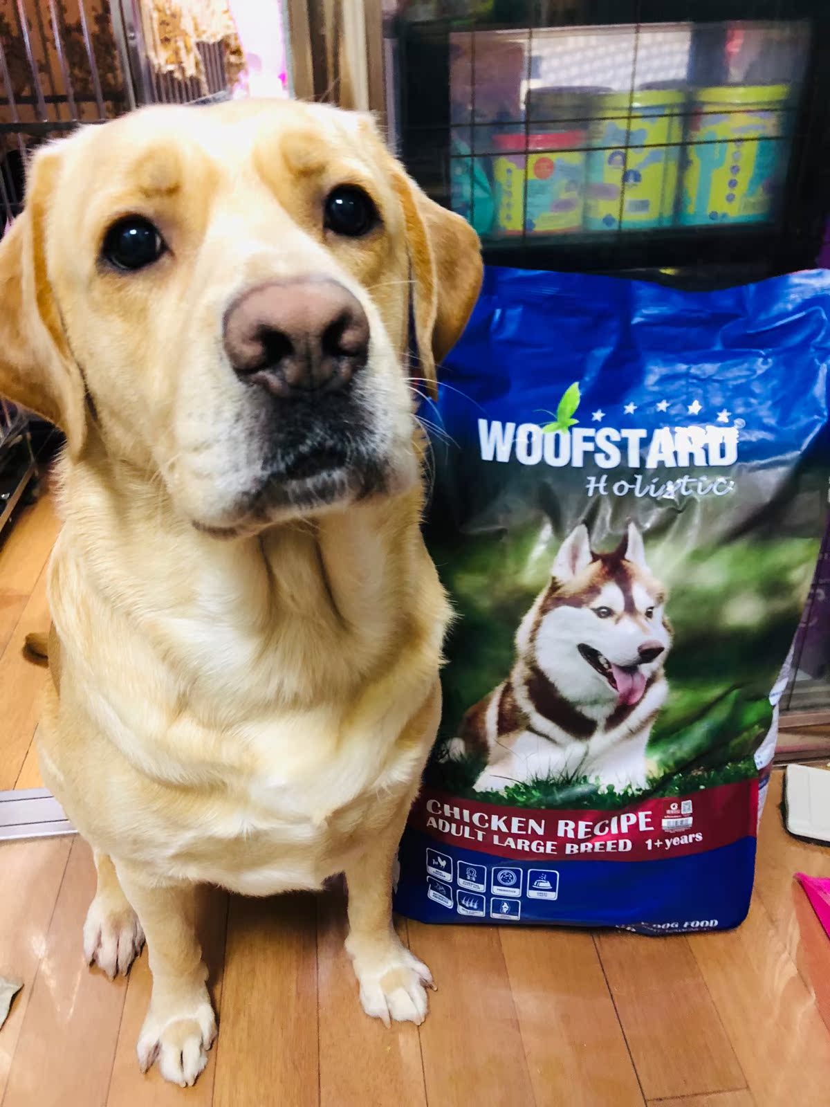 summer家 WoofStard比利时进口嗗达大型犬成犬粮无添加12kg大颗粒在类目 宠物/宠物食品及用品, 犬主粮中 - 来自Buy2taobao.com提供专业的淘宝代购服务