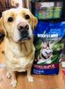 summer Home WoofStard Belgium Imported Large dogs Adult dog food No add 12kg Large particles summer Home WoofStard Belgium Imported Large dogs Adult dog food No add 12kg Large particles