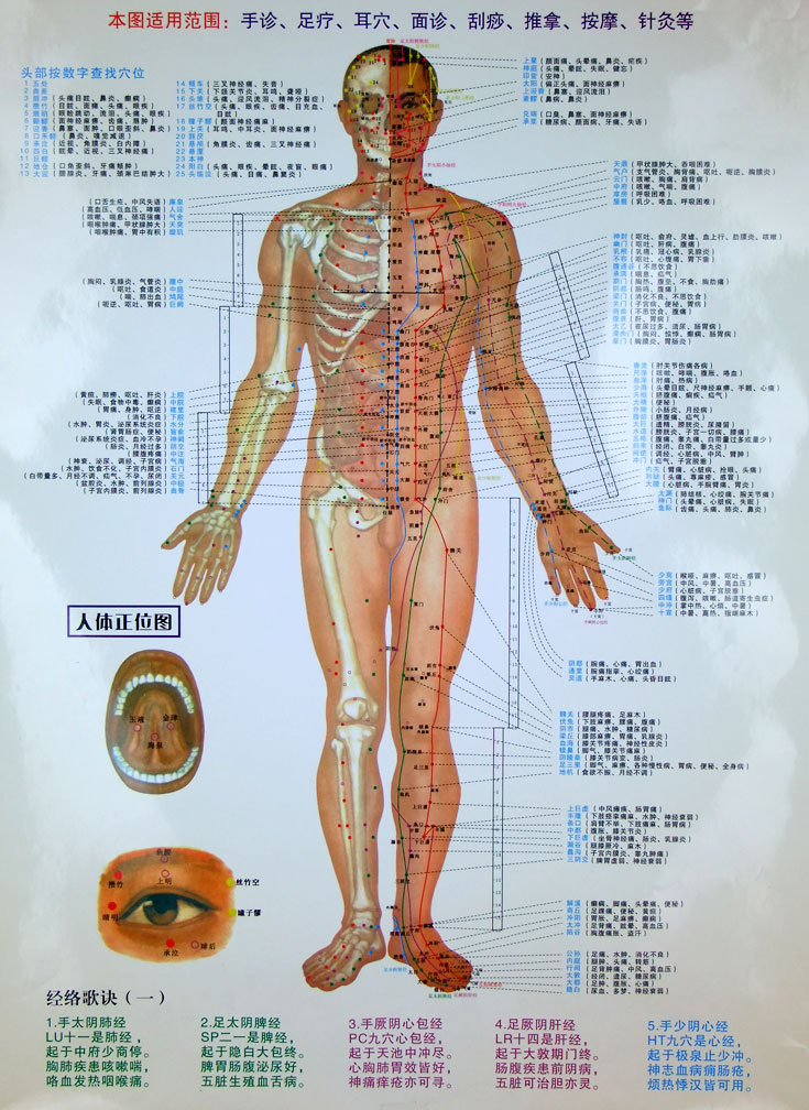 人体正面穴位图 经络图 随身灸 刮痧图 艾草灸图