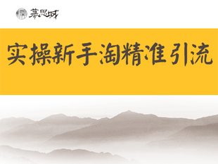 淘宝大学金牌课程手机淘宝引流必杀技大叔亲手