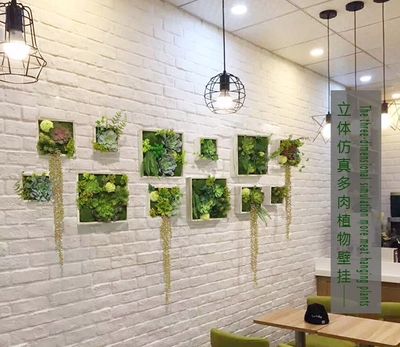植物多肉壁挂绿植创意墙面餐厅装饰壁饰玄关墙壁墙饰挂件