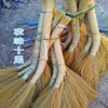 农家自制天然芦苇毛扫把家庭清洁工具耐用扫帚地板保洁用具促包邮 农家自制天然芦苇毛扫把家庭清洁工具耐用扫帚地板保洁用具促包邮